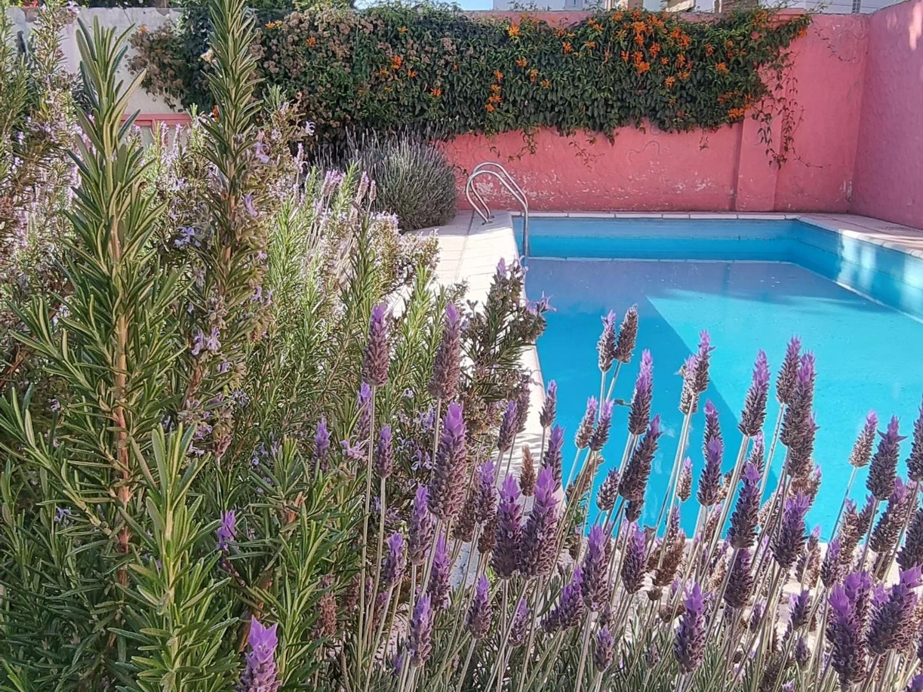 Yunga Hostel Salta Exterior photo